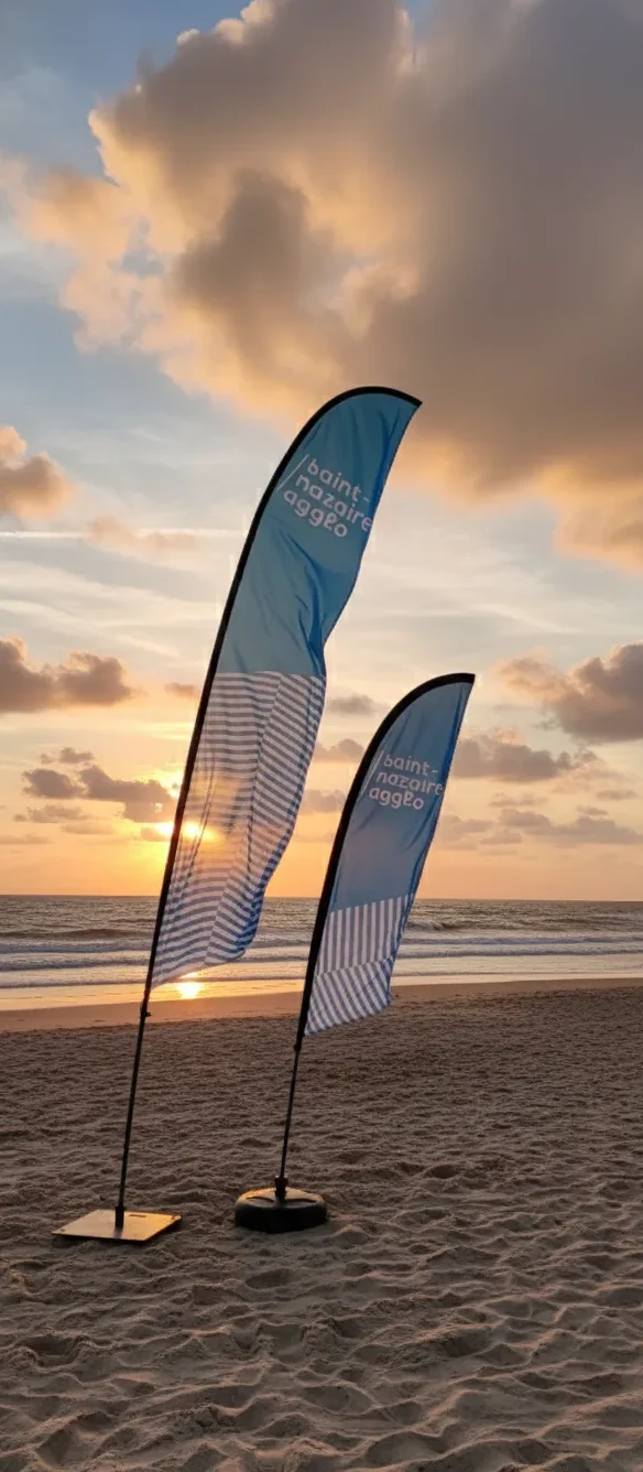 BEACH FLAG PLUME 2 DIMENSIONS edited