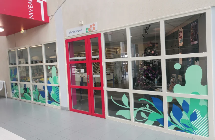 La Décoration de Vitrine : Créez un Univers qui vous ressemble