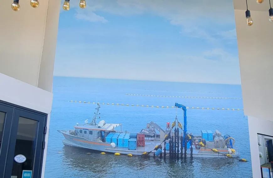 Papier Peint Personnalisé : Donnez une dimension unique à vos murs